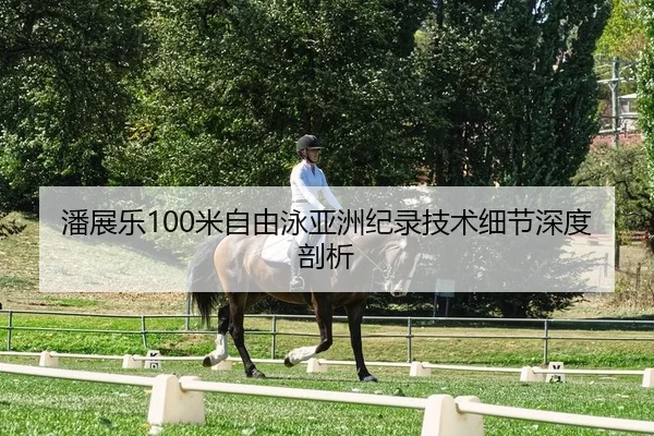 潘展乐100米自由泳亚洲纪录技术细节深度剖析